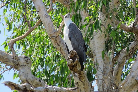 Darwin To Kakadu Day Trip By Air Including Yellow Water Cruise - Great Ocean Road Tourism 6