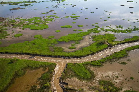 Kakadu National Park Scenic Flight - Great Ocean Road Tourism 10