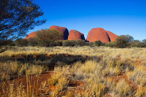 Ayers Rock 4 Tour Combo: Complete Uluru Base Walk At Sunrise, Valley Of The Winds At Sunrise, Kata Tjuta Sunset And Uluru Sunset - Great Ocean Road Tourism 12