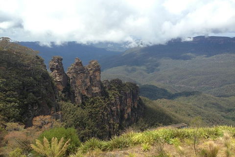 All-Inclusive Blue Mountains Tour In A Luxury Mercedes Sprinter - Great Ocean Road Tourism 11