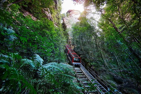 All-Inclusive Blue Mountains Tour In A Luxury Mercedes Sprinter - Great Ocean Road Tourism 3