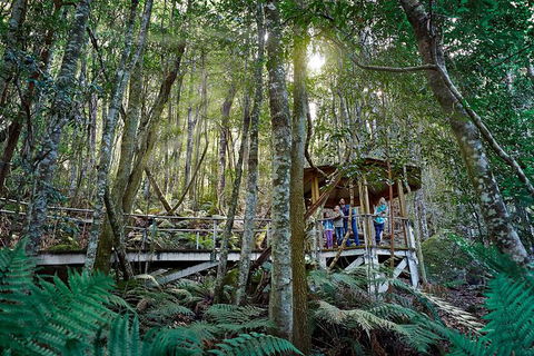 All-Inclusive Blue Mountains Tour In A Luxury Mercedes Sprinter - Great Ocean Road Tourism 19