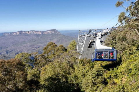 All-Inclusive Blue Mountains Tour In A Luxury Mercedes Sprinter - Great Ocean Road Tourism 6