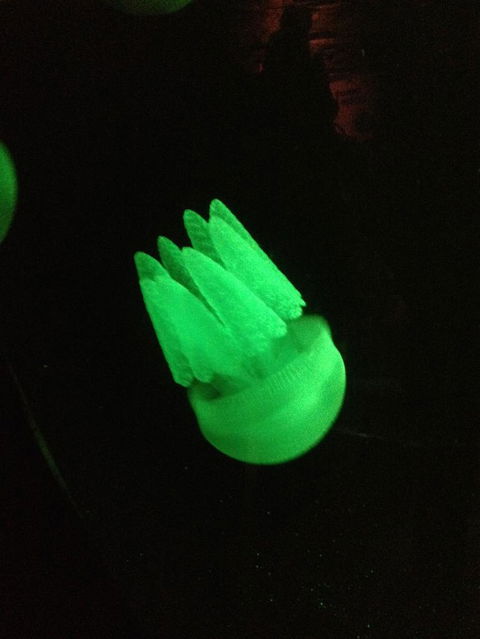 SEA LIFE Sydney Aquarium Entrance Ticket - Great Ocean Road Tourism 2