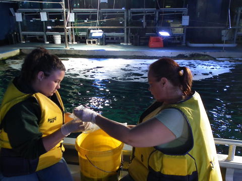 SEA LIFE Sydney Aquarium Entrance Ticket - Great Ocean Road Tourism 14