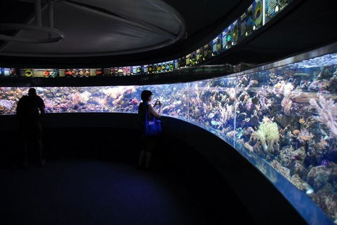 SEA LIFE Sydney Aquarium Entrance Ticket - Great Ocean Road Tourism 23