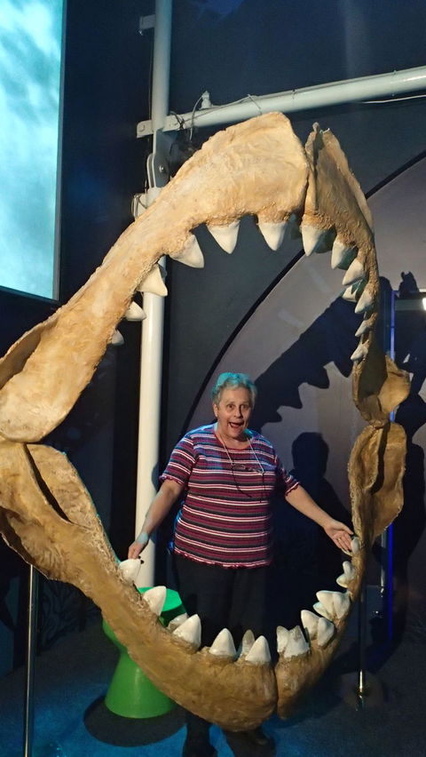 SEA LIFE Sydney Aquarium Entrance Ticket - Great Ocean Road Tourism 3