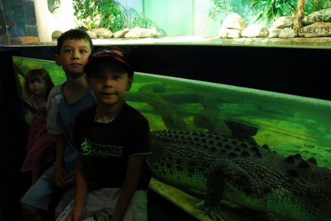 SEA LIFE Sydney Aquarium Entrance Ticket - Great Ocean Road Tourism 22