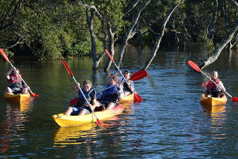 Kayak And SUP Guided Tours - Great Ocean Road Tourism 0