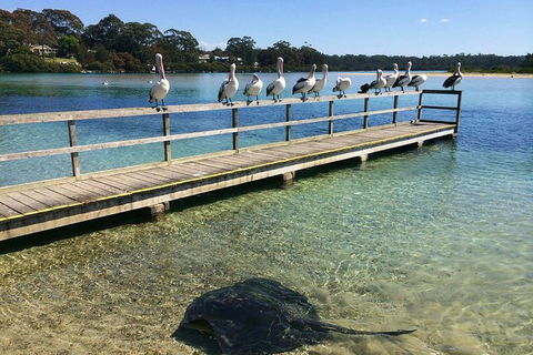 The Eurobodalla Experience (Full Day Private Tour Including Lunch) - Great Ocean Road Tourism 2
