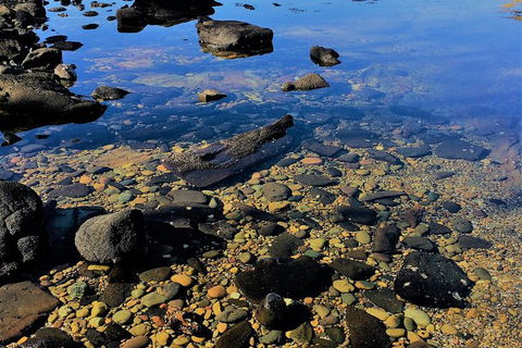 The Eurobodalla Experience (Full Day Private Tour Including Lunch) - Great Ocean Road Tourism 14