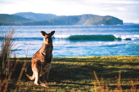 The Eurobodalla Experience (Full Day Private Tour Including Lunch) - Great Ocean Road Tourism 7