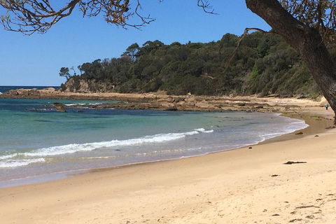 The Eurobodalla Experience (Full Day Private Tour Including Lunch) - Great Ocean Road Tourism 13
