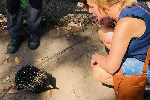 The Eurobodalla Experience (Full Day Private Tour Including Lunch) - Great Ocean Road Tourism 18