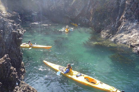 Batemans Bay Full Day Sea Kayak Tour With Beach Picnic Lunch - Great Ocean Road Tourism 1