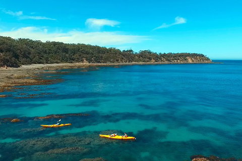 Batemans Bay Full Day Sea Kayak Tour With Beach Picnic Lunch - Great Ocean Road Tourism 7