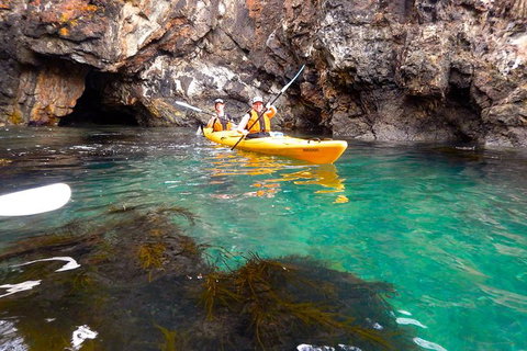 Batemans Bay Full Day Sea Kayak Tour With Beach Picnic Lunch - Great Ocean Road Tourism 2