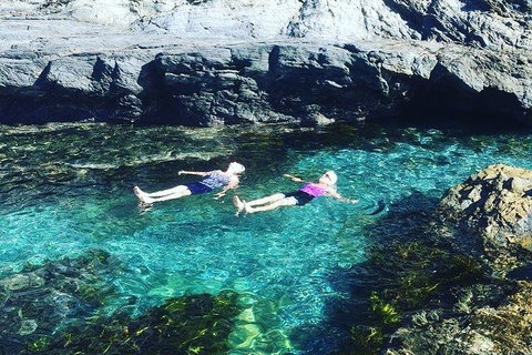 Batemans Bay Full Day Sea Kayak Tour With Beach Picnic Lunch - Great Ocean Road Tourism 6