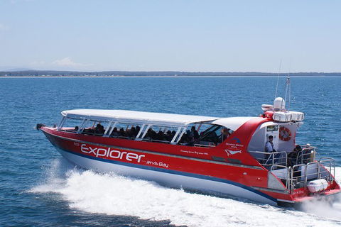 Whale Watching Jervis Bay - Great Ocean Road Tourism 5