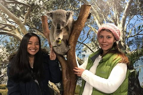 Australia Multi-City Attractions Pass - Great Ocean Road Tourism 2