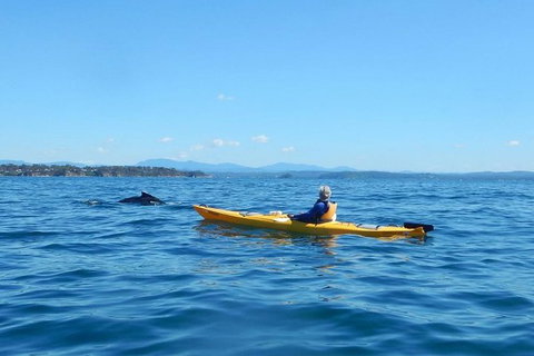Whale Watching By Sea Kayak In Batemans Bay - Great Ocean Road Tourism 0