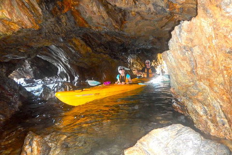 Whale Watching By Sea Kayak In Batemans Bay - Great Ocean Road Tourism 4