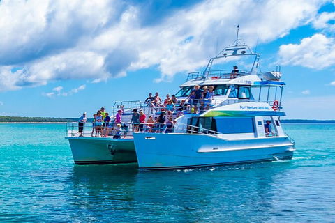 Jervis Bay Whale Watching Tour - Great Ocean Road Tourism 2