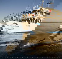 Jervis Bay Dolphin Watch Cruise - Great Ocean Road Tourism