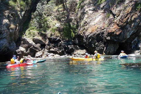 Batemans Bay Glass-Bottom Kayak Tour Over 2 Relaxing Hours - Great Ocean Road Tourism 1