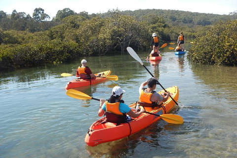 Batemans Bay Glass-Bottom Kayak Tour Over 2 Relaxing Hours - Great Ocean Road Tourism 4