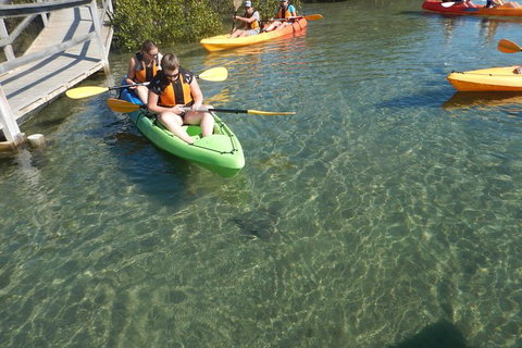 Batemans Bay Glass-Bottom Kayak Tour Over 2 Relaxing Hours - Great Ocean Road Tourism 5