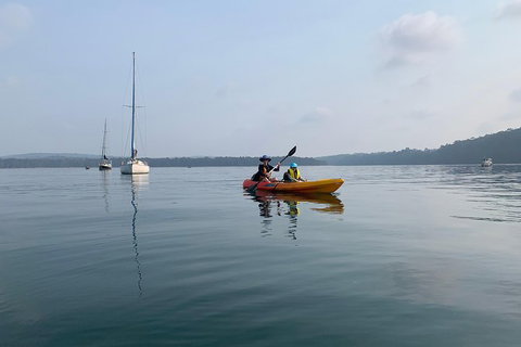 Batemans Bay Glass-Bottom Kayak Tour Over 2 Relaxing Hours - Great Ocean Road Tourism 7