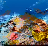 Agincourt Reef - Great Ocean Road Tourism