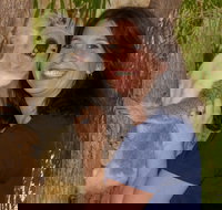 Billabong Sanctuary - Great Ocean Road Tourism