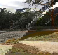 Buckingbong Reserve - Great Ocean Road Tourism