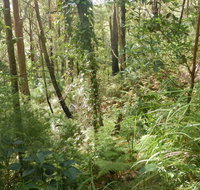 Gap Beach Walking Track
