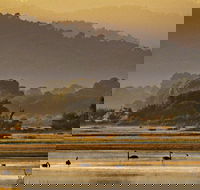 Greens Beach - Great Ocean Road Tourism