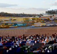 Ipswich Motorsport Precinct - Great Ocean Road Tourism