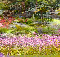 Jurassic Garden AR Experience - Great Ocean Road Tourism