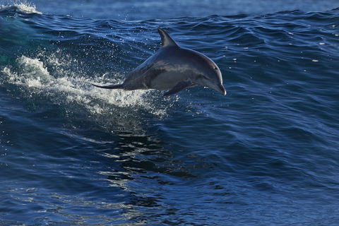 Kalbarri Town Centre - Great Ocean Road Tourism 1