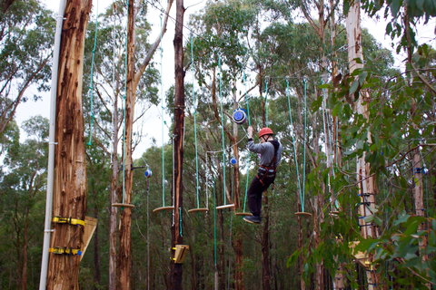 Kinglake Forest Adventures - Great Ocean Road Tourism 0