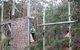 Kinglake Forest Adventures - thumb 1