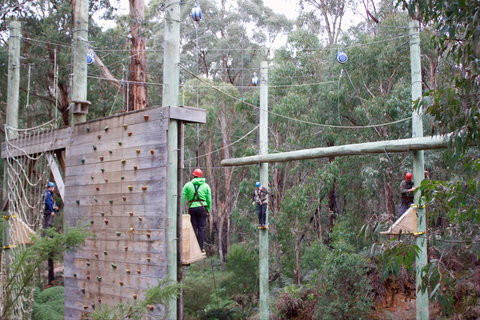 Kinglake Forest Adventures - Great Ocean Road Tourism 1