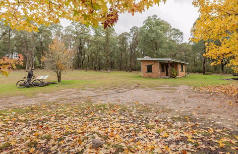 Major Clews Hut Walking Track - Great Ocean Road Tourism 0