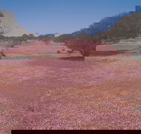 Meekatharra - Great Ocean Road Tourism