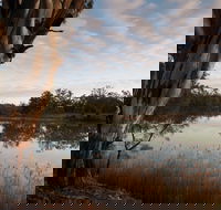 Murray-Kulkyne Regional Park - Great Ocean Road Tourism