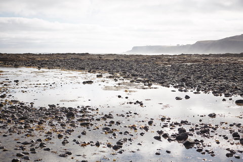 Mushroom Reef Beach - Great Ocean Road Tourism 0