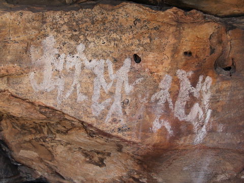 Ngamadjidj Shelter - Wartook Valley - Great Ocean Road Tourism 0