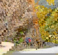 Old Great North Road - World Heritage Walk - Great Ocean Road Tourism