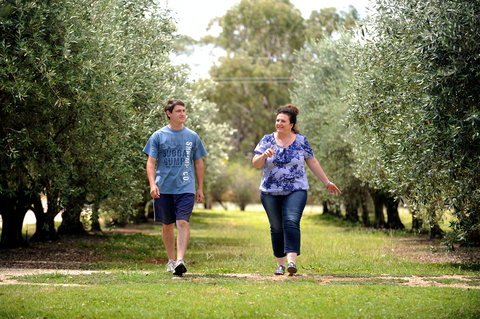 Olives Of Beaulieu - Great Ocean Road Tourism 0